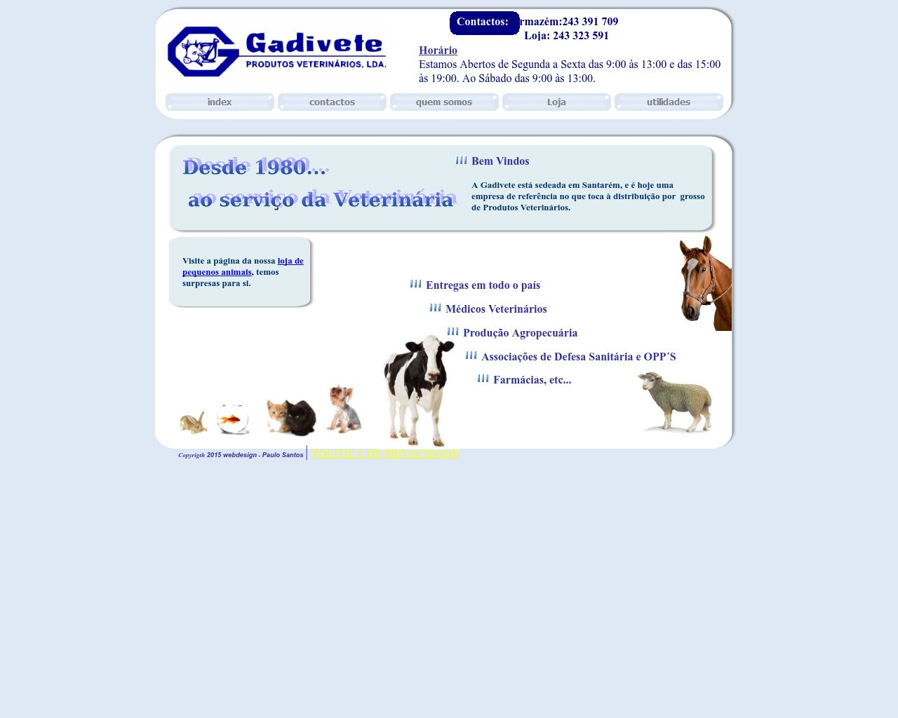 Site de imagem gadivete.pt em 1280x1024